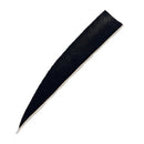 Feder RW Shield Solid-12