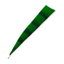 Feder RW Shield Barred-13