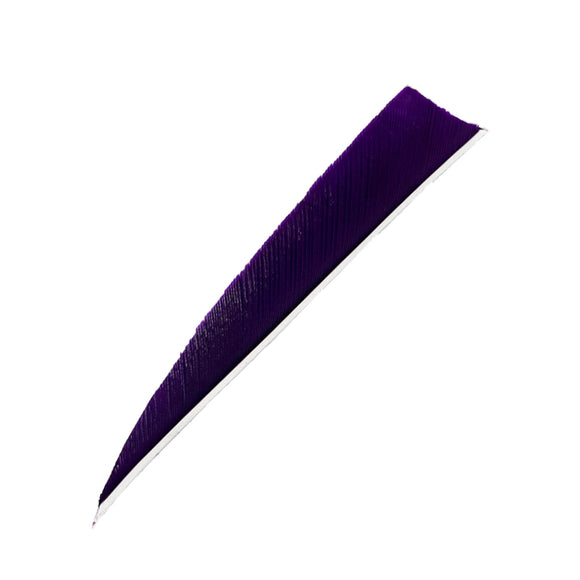 Feder RW Shield Solid
