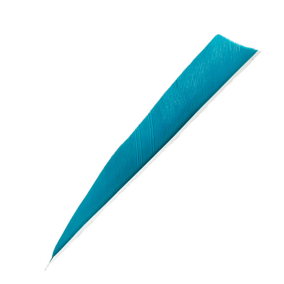 Feder RW Shield Solid