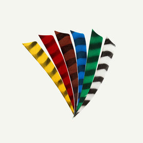 Bearpaw Naturfeder 3" Shield RW barred