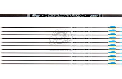 Avalon Tyro ID4.2 Carbonpfeil