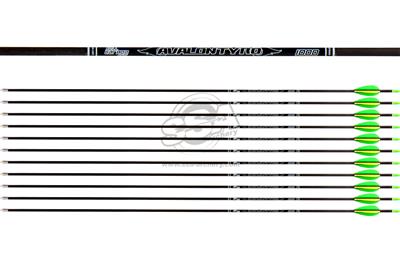 Avalon Tyro ID4.2 Carbonpfeil