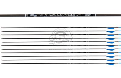 Avalon Tyro ID4.2 Carbonpfeil