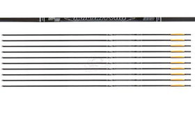 Avalon Tyro ID4.2 Carbonpfeil - 0