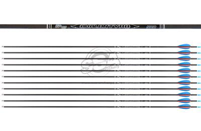 Avalon Tyro ID4.2 Carbonpfeil