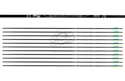 Avalon Tyro ID4.2 Carbonpfeil