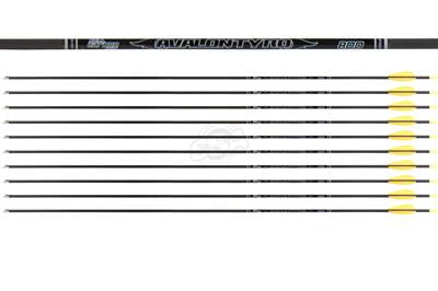 Avalon Tyro ID4.2 Carbonpfeil