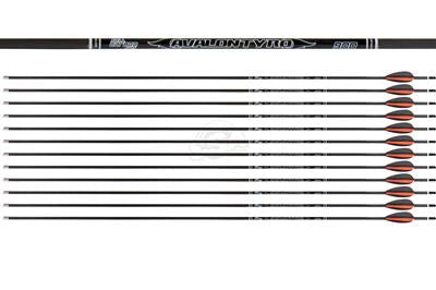 Avalon Tyro ID4.2 Carbonpfeil