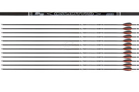 Avalon Tyro ID4.2 Carbonpfeil