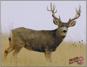Dura-Mesh Zielscheibenauflage Maultierhirsch