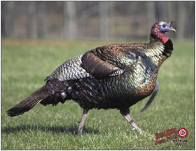 Dura-Mesh Doelschijf Bekleding Kalkoen