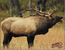 Dura-Mesh Zielscheibenauflage Wapiti-1