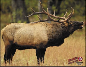 Dura-Mesh Doelschijf Wapiti