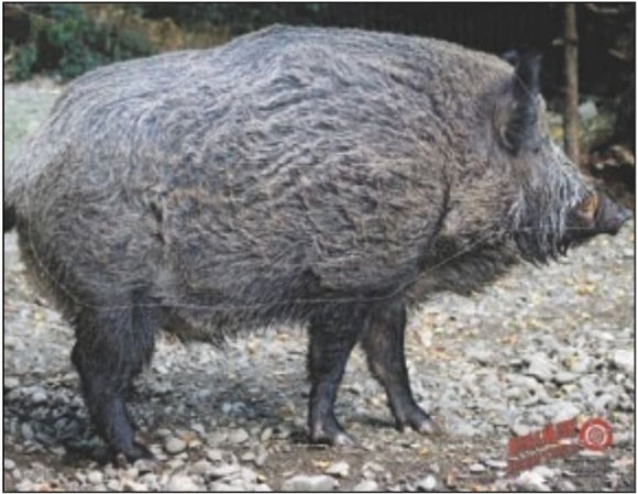 Dura-Mesh Zielscheibenauflage Wildschwein