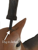 Leitold junger Weißwedelhirsch-3