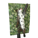 Leitold Backstop Jungle-3