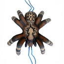 Leitold kleine Vogelspinne-3