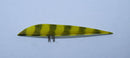 Naturfeder Traditional Parabol-1