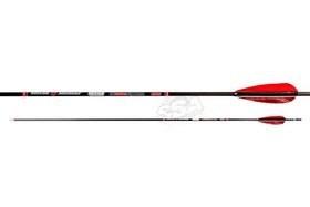 Skylon Novice Carbonpfeil