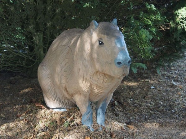 3D Ziel NaturFoam Capybara - Wasserschwein