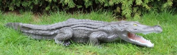 Franzbogen Krokodil klein