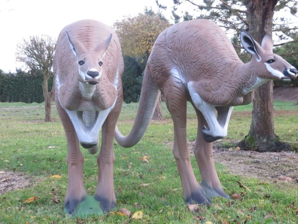 3D-Tier NaturFoam Känguru
