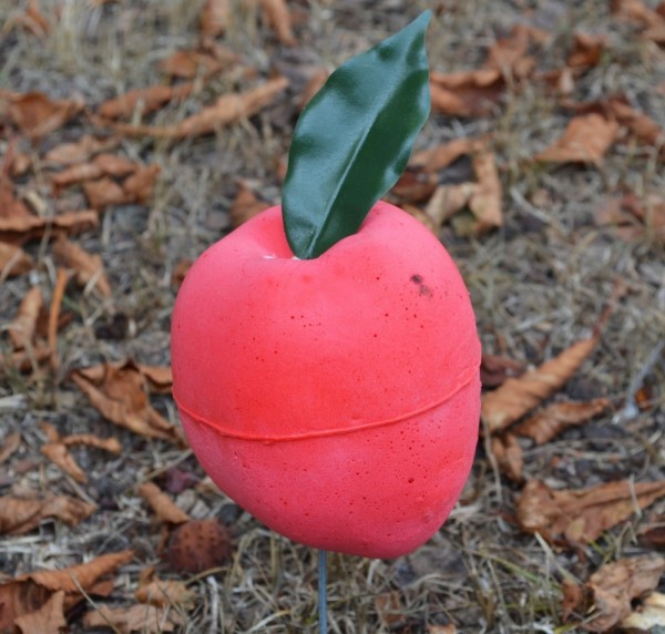 IBB 3D Ziel Apfel