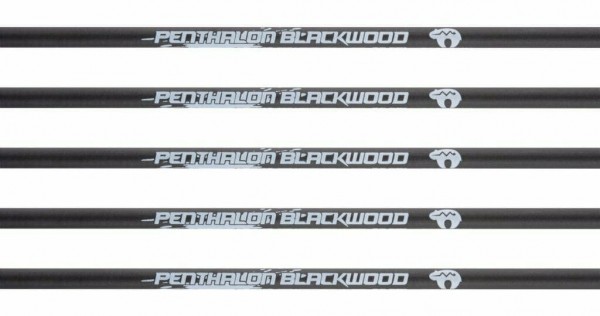 Bearpaw Penthalon Blackwood Carbonschaft Spine 300